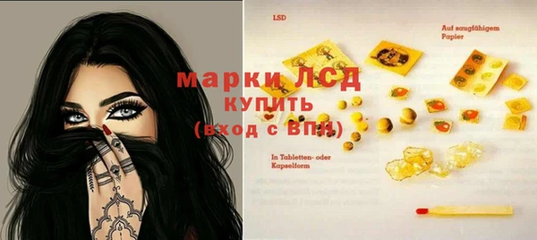 spice Пересвет
