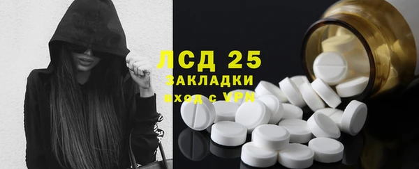 spice Пересвет