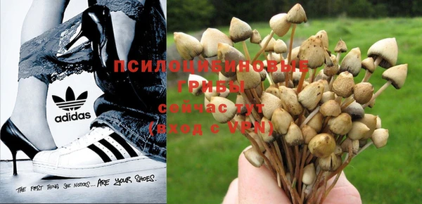 трава Переславль-Залесский