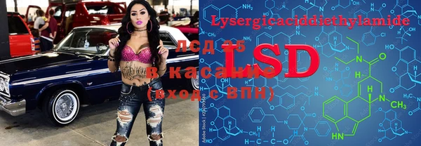 spice Пересвет