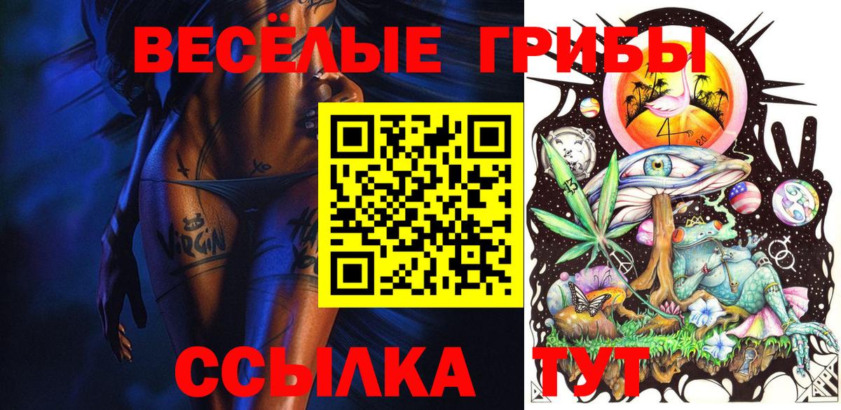 Галлюциногенные грибы прущие грибы  Галлюциногенные грибы GOLDEN TEACHER  Вход с VPN  Выборг 