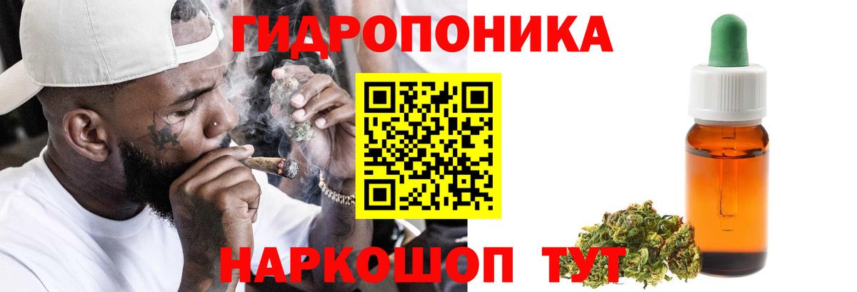 Бошки марихуана THC 21%  Вход с VPN  МАРИХУАНА OG Kush  МАРИХУАНА SATIVA & INDICA  Выборг 