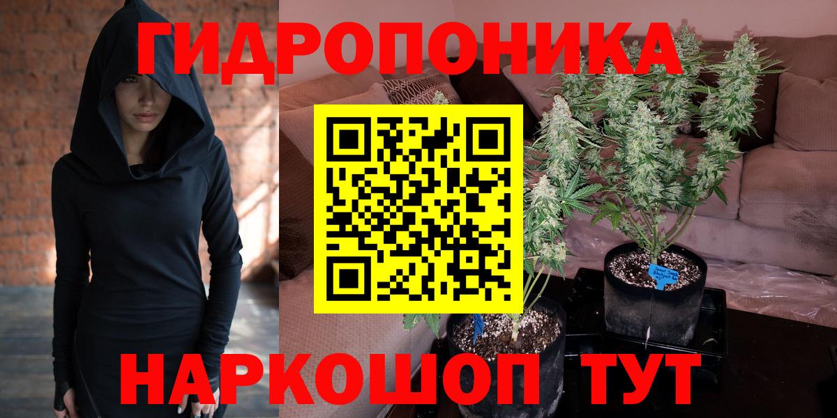 Каннабис конопля Выборг